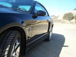 Stang_08.webp