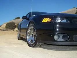 Stang_06.webp