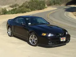 Stang_05.webp