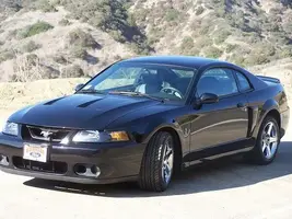Stang_03.webp