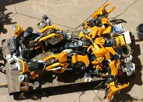 bumblebee_onback.webp