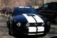 dalylightstang002rr2.th.webp