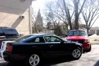 dalylightstang003ai8.th.webp
