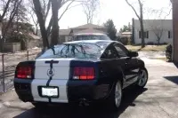 dalylightstang004wc2.th.webp