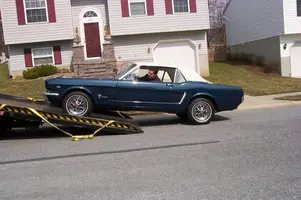 Mustang_1389.webp