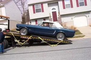 Mustang_1390.webp