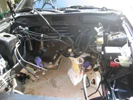 ColoradoTrip285.webp