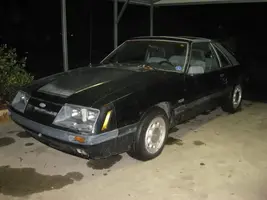 IMG_0205.webp