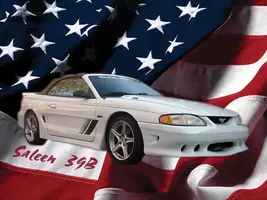 Saleenflag.webp