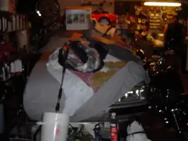 mynewcar1.webp