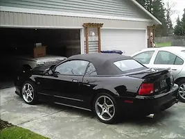 DCFC0146.webp