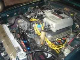 stang15.webp