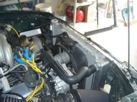 stang16.webp