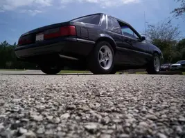 100_1074copy00.webp