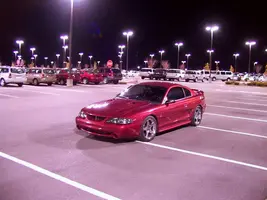 img0564mediumxh8.webp