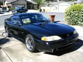 mustang4.webp