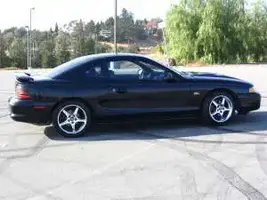 mustang3.webp
