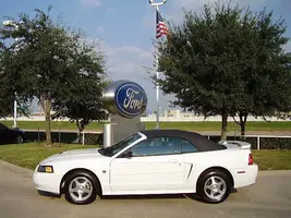 1FAFP44694F197366-1.webp