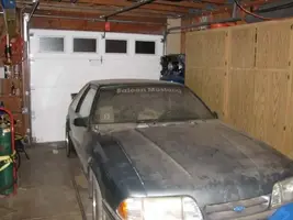saleen1copy.webp