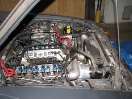 saleen3.webp