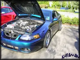 DSCN13981.webp