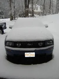 SnowStang2.webp