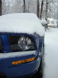SnowStang3.webp