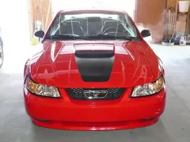 front.webp