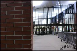DSC_0211-1.webp