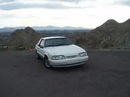 Picture011.webp
