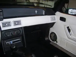 picture308md3.webp