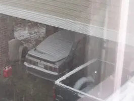 snow.webp