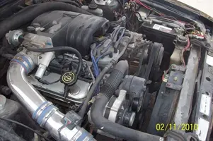 Fox Body 3.webp