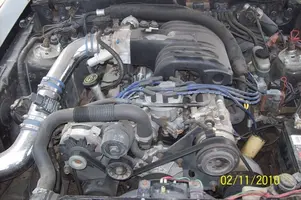 Fox Body 4.webp