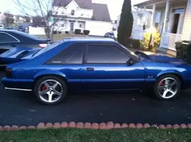 Stang32013.webp