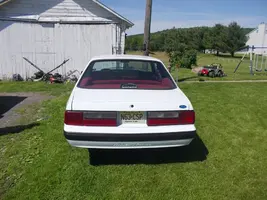 481639_10201259246627264_1081133122_n.webp