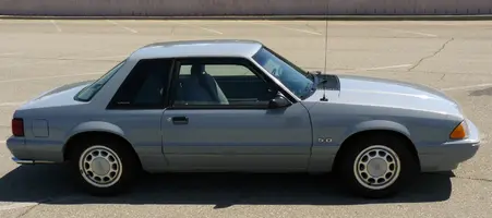 chp-mustang-4.webp