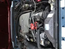 image1.webp