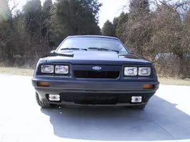 whittni and my mustang 004.webp