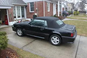 mustang01.webp