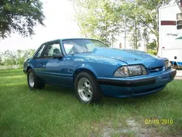 mustang.webp