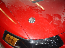 2007-0210_Cobra_pins1-800.webp