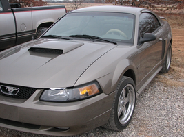 1stang_0001.webp
