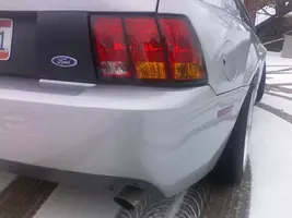 mustang1.webp