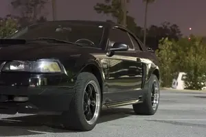 another.webp