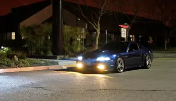 YellowFogs4.webp
