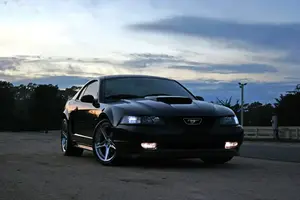 Sunset.webp