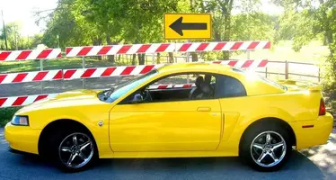 Pictureofstang-1.webp