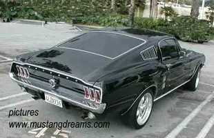 FBeachrear.webp