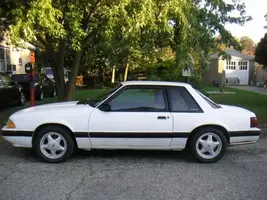 mustang003.webp